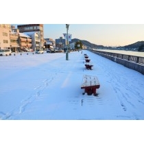 尾道駅前緑地帯の雪景色