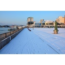 尾道駅前緑地の雪景色