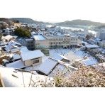 尾道市街地の雪景色