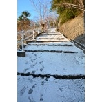 雪の積もった坂道