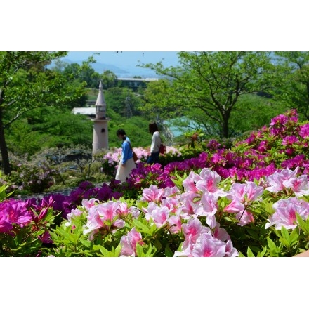 千光寺公園のつつじ