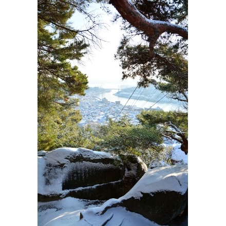 文学のこみちの雪景色