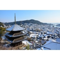 天寧寺三重塔と尾道市街地の雪景色