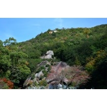 浄土寺山の鎖山