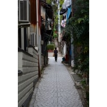小路の風景
