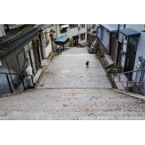 御袖天満宮の参道