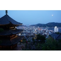 天寧寺三重塔と満月