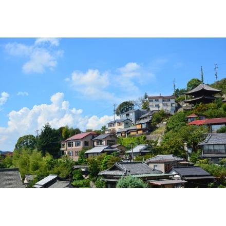 千光寺山一帯の夏の街並み