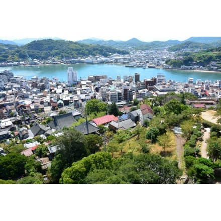 千光寺山一帯の夏の街並み