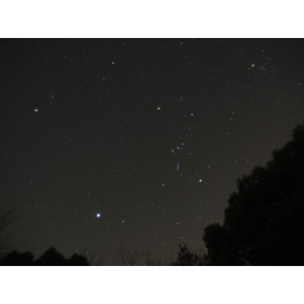 浄土寺山から見た冬の夜空