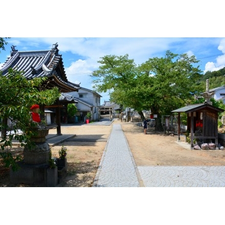 夏の宝土寺の境内