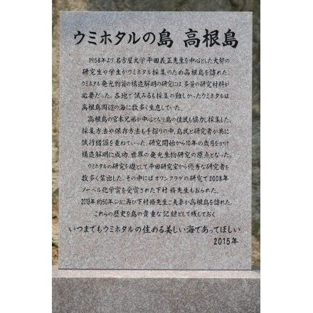 「海ほたるの島　高根島」の石碑