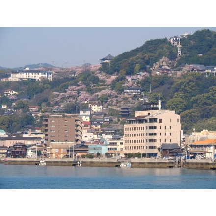 尾道の桜風景