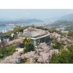 桜満開の千光寺公園