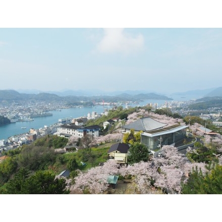 桜満開の千光寺公園