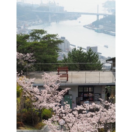 千光寺公園から見る春の尾道