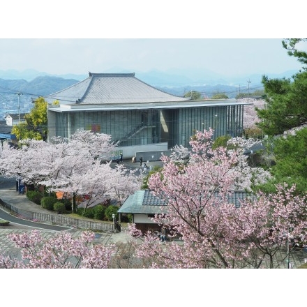 桜満開の千光寺公園と尾道市立美術館