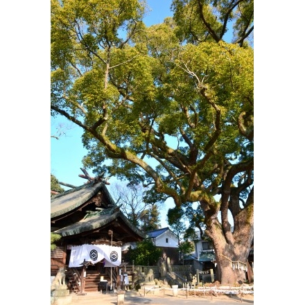 朝の艮神社