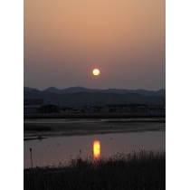 朝日が昇る藤井川