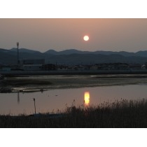 朝日が昇る藤井川