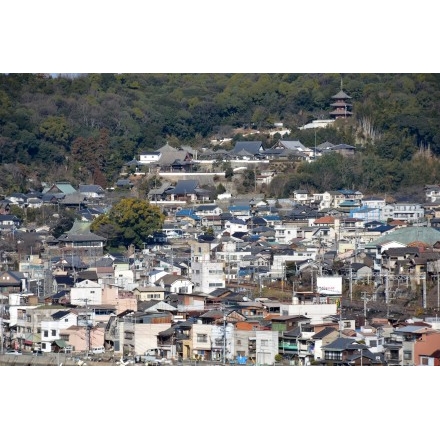 向島から見る西國寺周辺の町並み