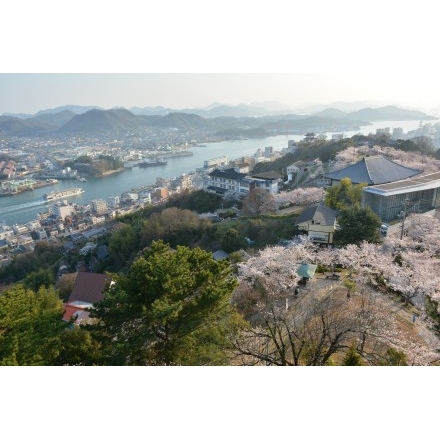 千光寺公園の桜風景