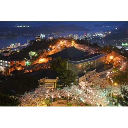 千光寺公園の夜桜