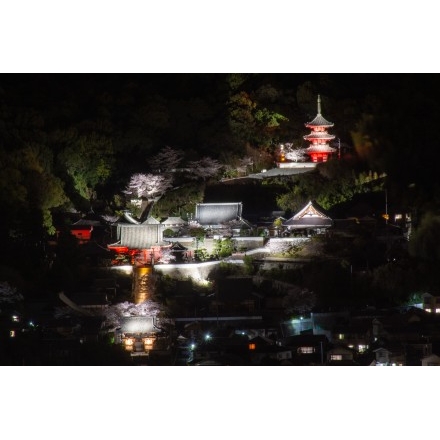 岩屋山から見る西國寺の夜景