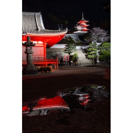 ライトアップされた西國寺の金堂と三重塔