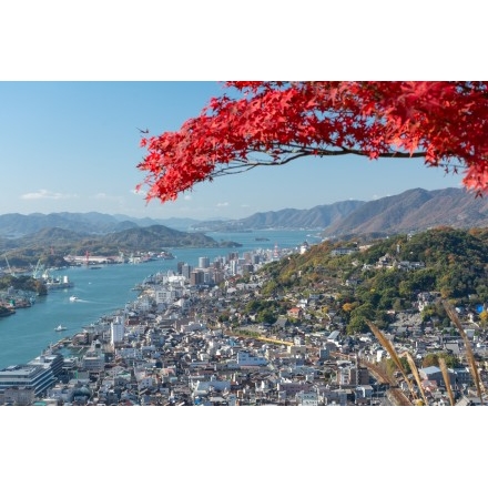 No.4601 浄土寺奥の院の紅葉越しに見る尾道市街地