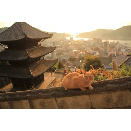 彼岸の朝・天寧寺塔婆