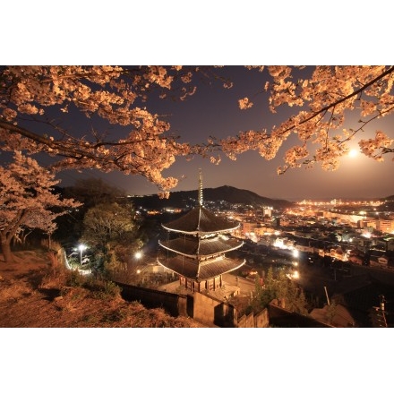 天寧寺と夜桜