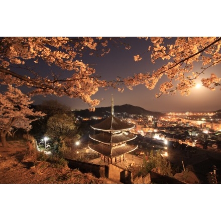 天寧寺と夜桜