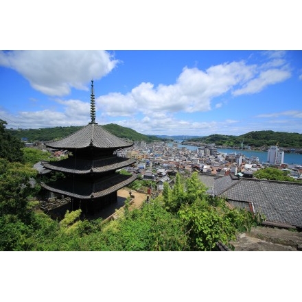 初夏の天寧寺海雲塔