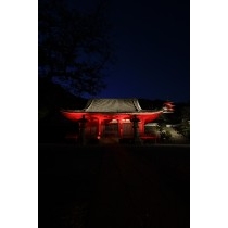 西國寺金堂ライトアップ
