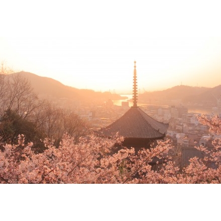 桜と海雲塔