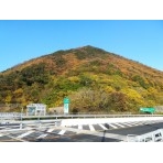 紅葉した観音山