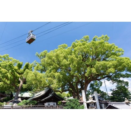 艮神社とロープウェイ