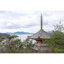 向上寺三重塔越しの風景