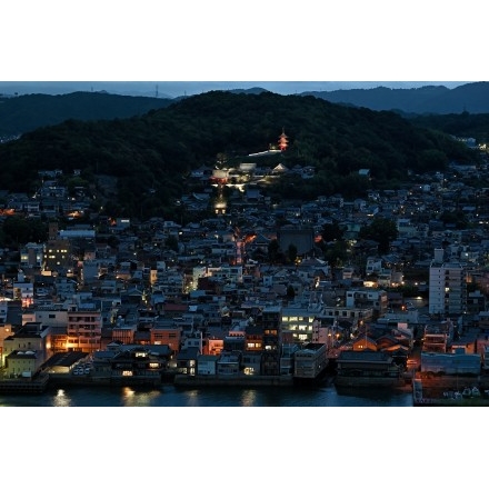 【要クレジット　写真提供：栗山主税】岩屋山から見た西國寺一帯の夜景