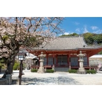 西國寺金堂と桜