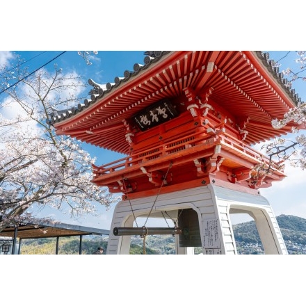 千光寺の鐘楼と桜