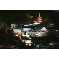 尾道市役所展望デッキから見る西國寺の夜景