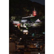 尾道市役所展望デッキから見る西國寺の夜景