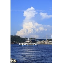 尾道渡船と入道雲