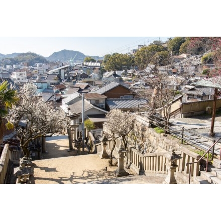 御袖天満宮参道から見た尾道市街地