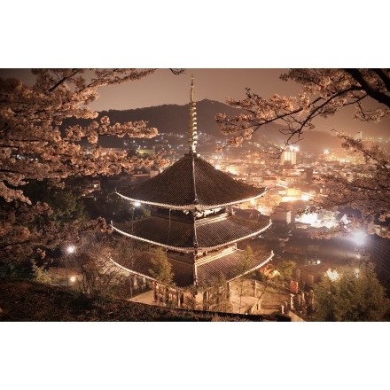 No.4920 夜桜と天寧寺