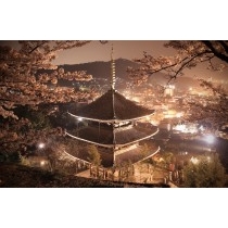夜桜と天寧寺
