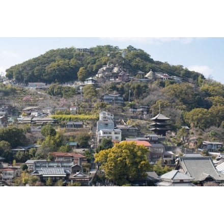 尾道ロイヤルホテル屋上から見る千光寺周辺の風景