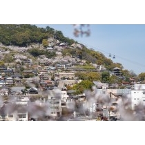 向島から見る千光寺一帯の春風景